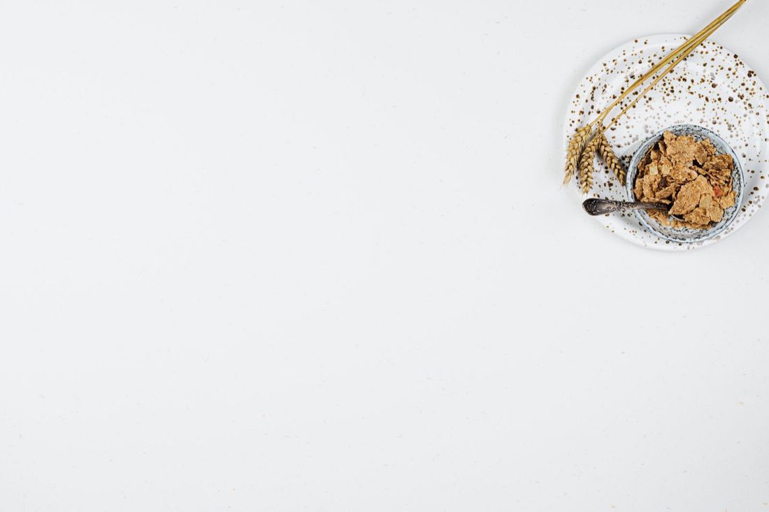 Psyllium Husk Powder — Plantago ovata for export
